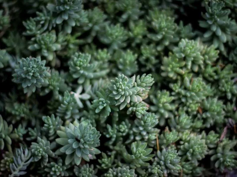 안산싱크대뚫음