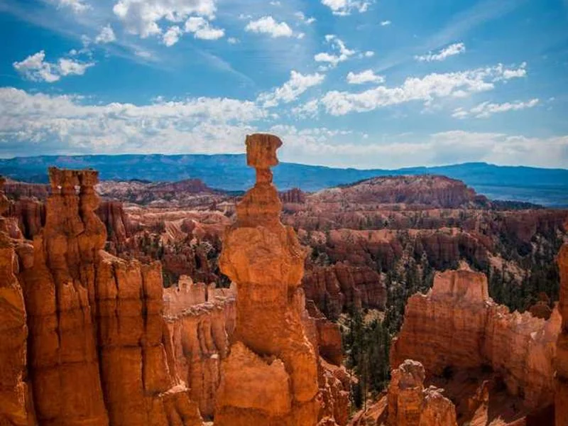 안산오수관막힘