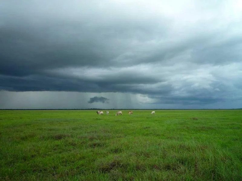 안산오수관막힘