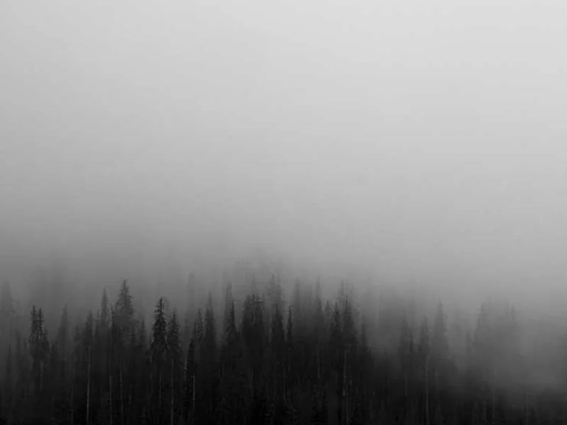 안산오수관막힘