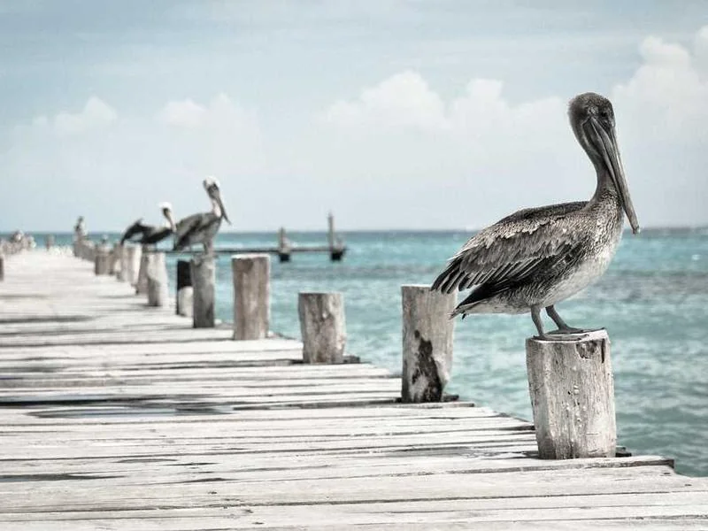 안산하수구뚫는업체