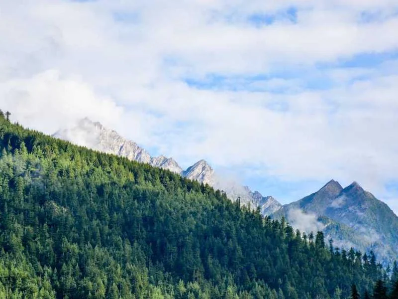 안산하수구뚫음