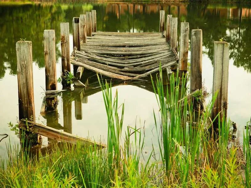 안산하수구역류