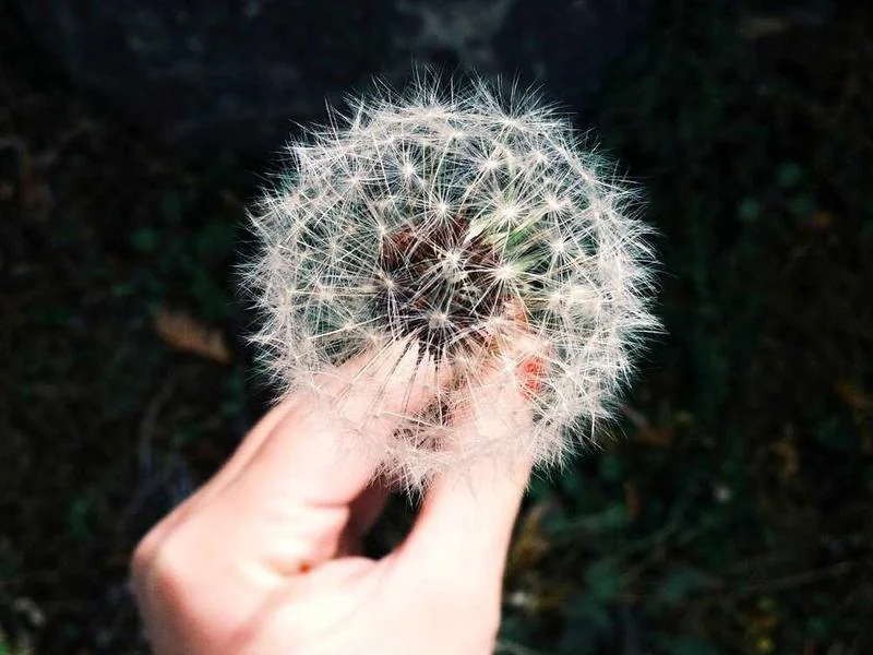 안산하수구역류