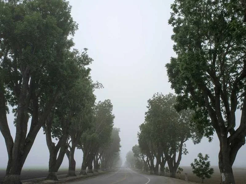 안산하수구역류