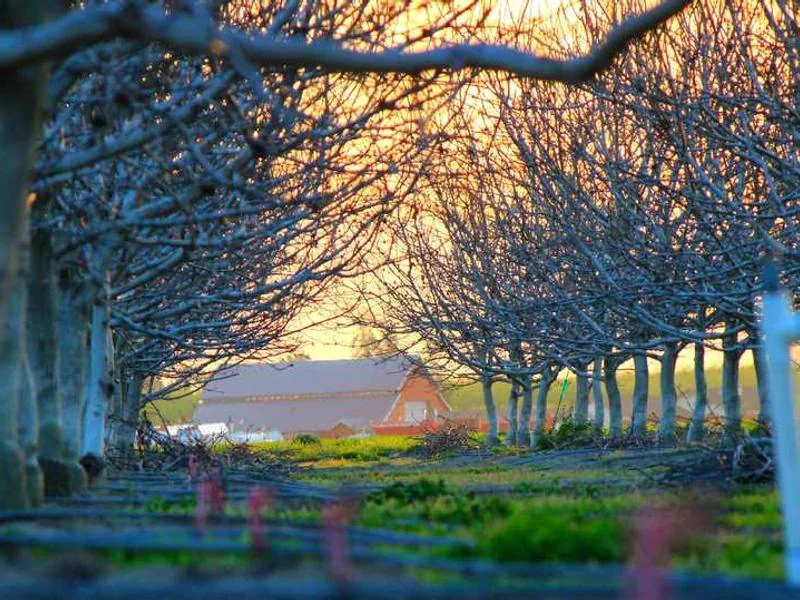 안산우수관막힘