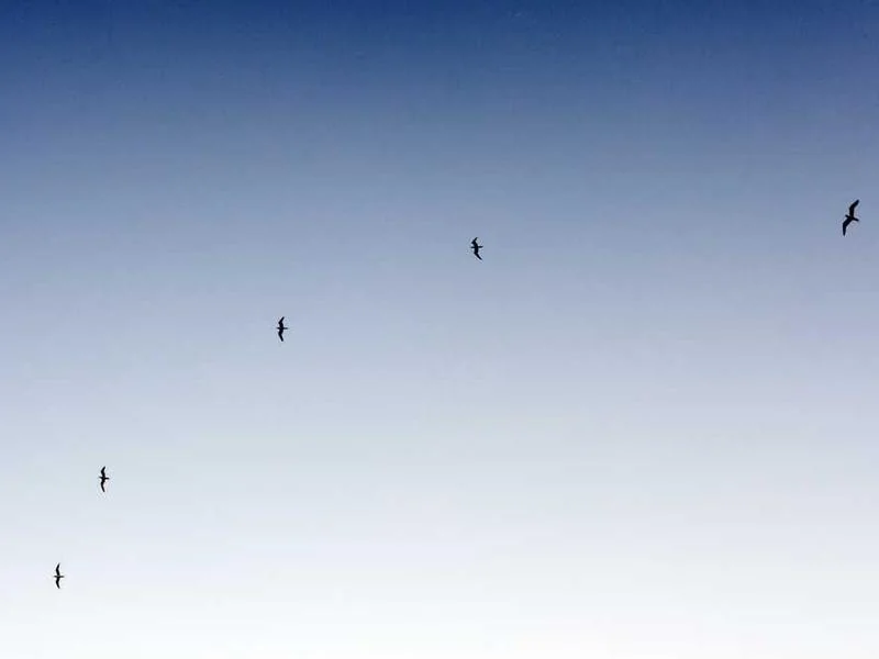 안산하수관막힘