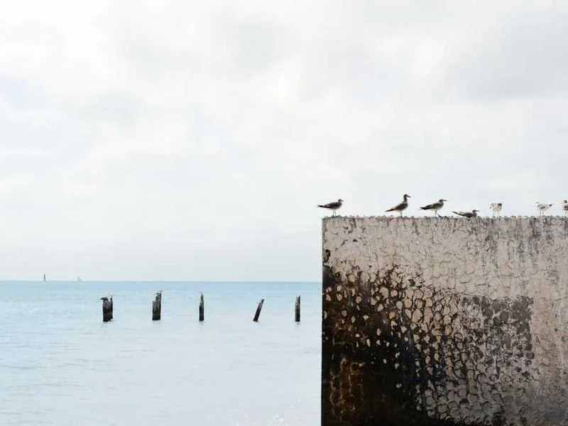 안산하수구긴급출동