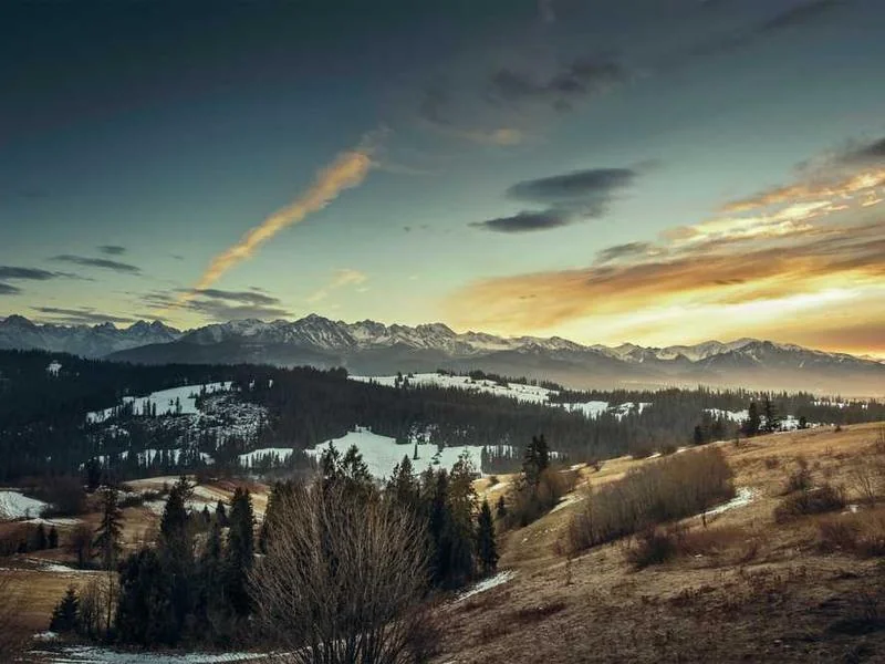 안산하수구뚫는업체