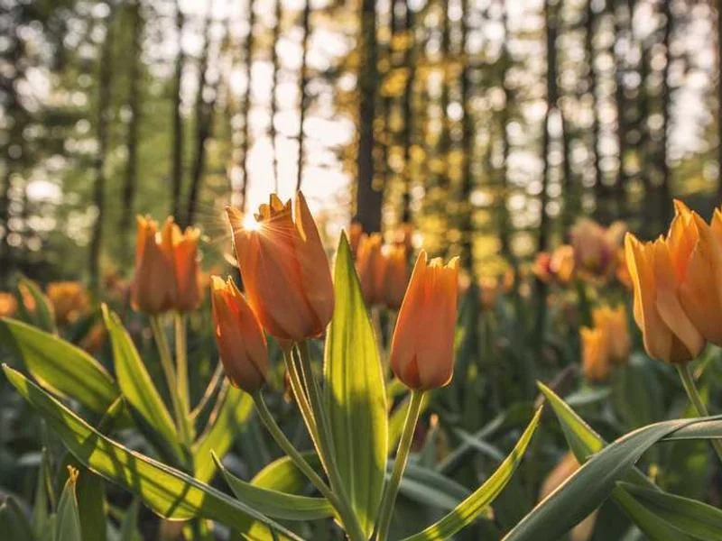 안산하수구뚫음