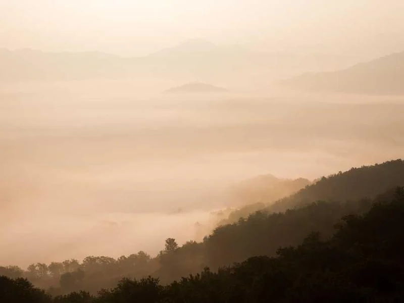안산하수구막힘