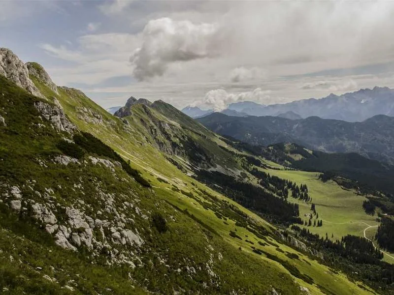 안산하수구막힘