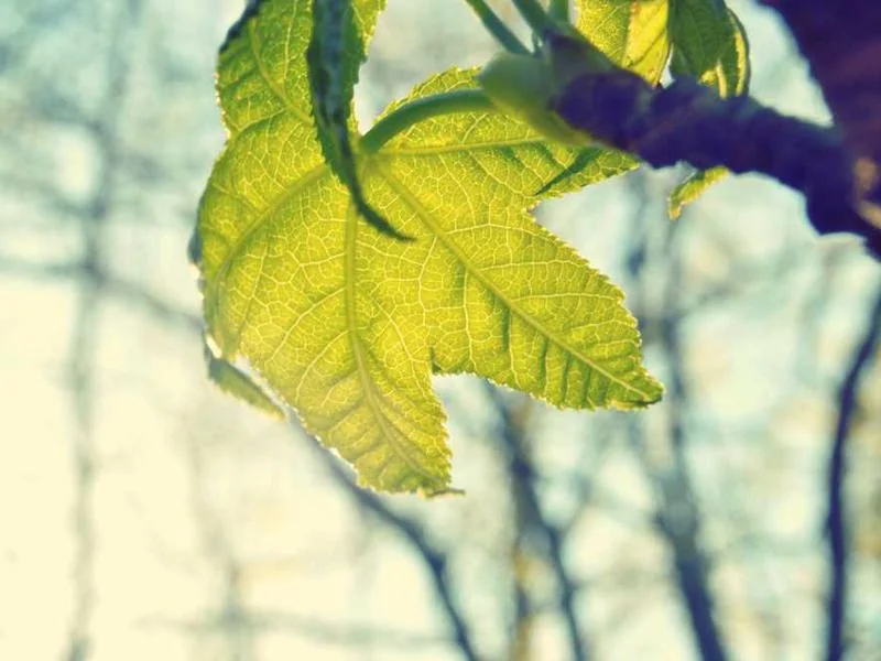 안산동하수구막힘,싱크대막힘,변기막힘