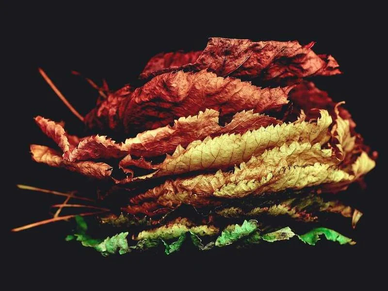 안산반월동하수구막힘,싱크대막힘,변기막힘