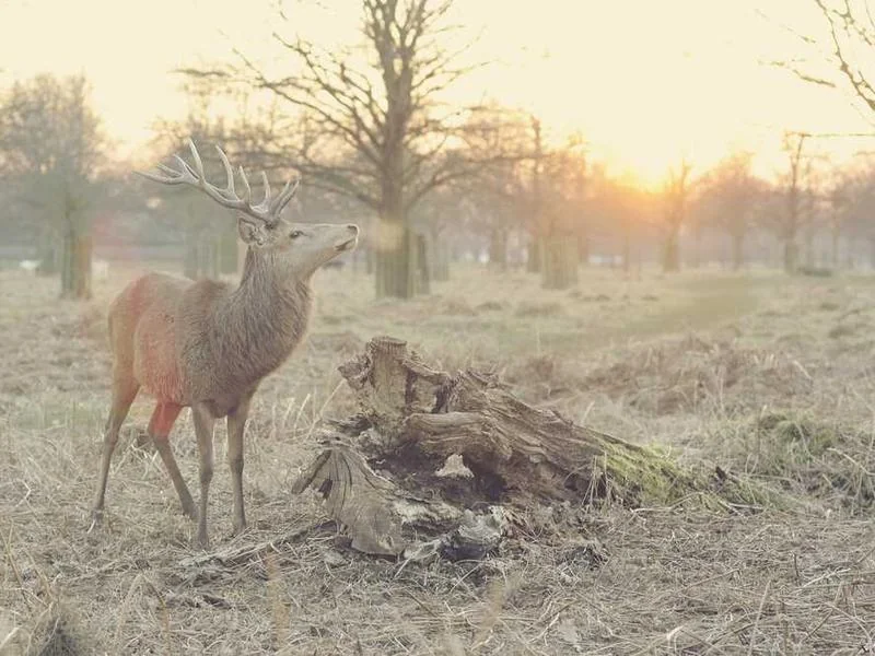 안산반월동하수구막힘,싱크대막힘,변기막힘