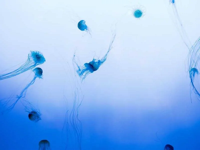 안산백운동누수탐지누수업체