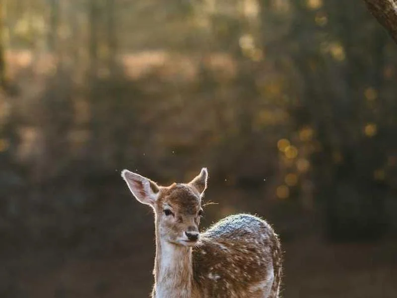 안산부곡동하수구막힘,싱크대막힘,변기막힘