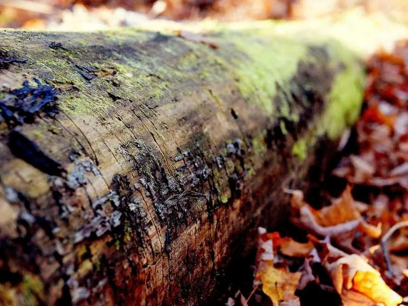 안산상록구하수구막힘,싱크대막힘,변기막힘
