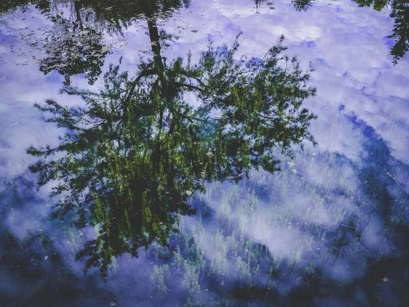 안산선감동하수구막힘,싱크대막힘,변기막힘