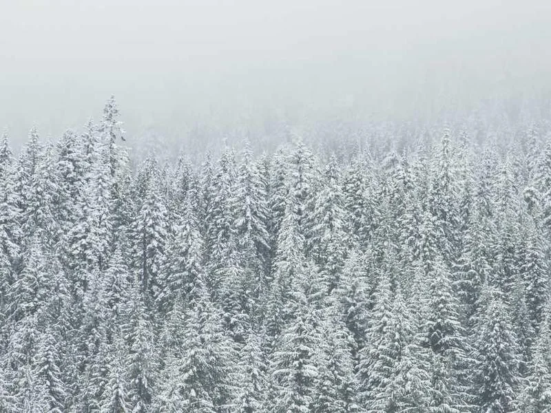 안산선감동하수구막힘,싱크대막힘,변기막힘