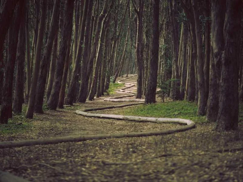 안산선감동하수구막힘,싱크대막힘,변기막힘