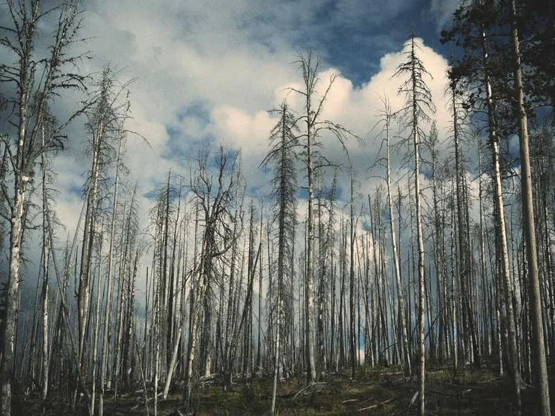 안산수암동하수구막힘,싱크대막힘,변기막힘