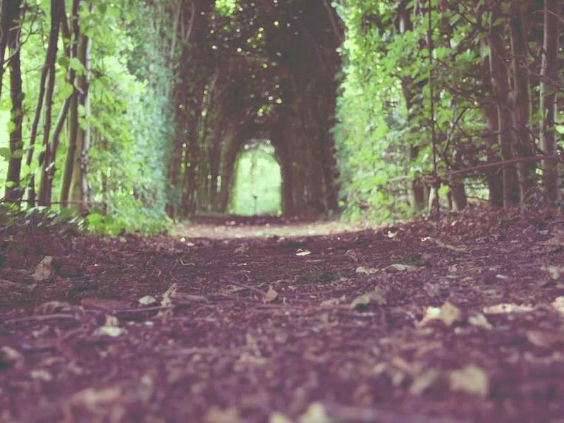 안산수암동하수구막힘,싱크대막힘,변기막힘