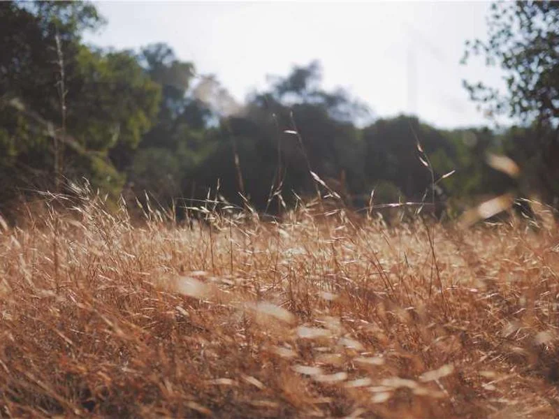 안산신길동하수구막힘,싱크대막힘,변기막힘