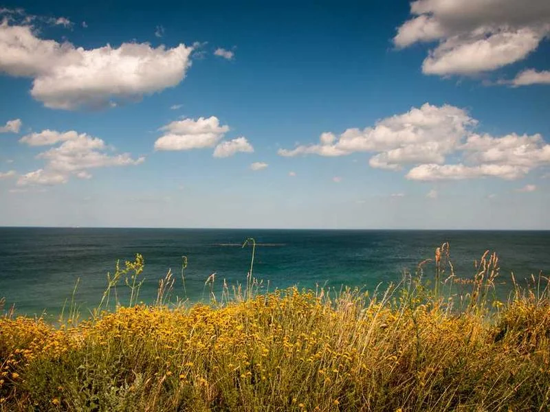 안산양상동하수구막힘,싱크대막힘,변기막힘