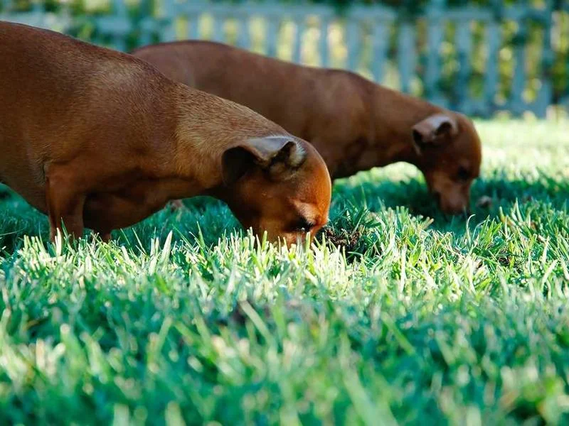 안산원곡동하수구막힘,싱크대막힘,변기막힘