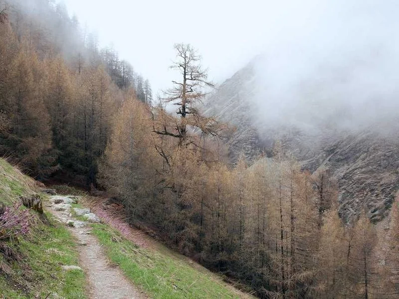 안산원시동하수구막힘,싱크대막힘,변기막힘