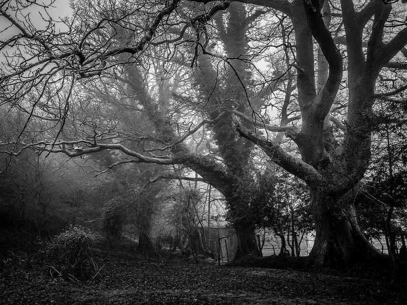 안산월피동하수구막힘,싱크대막힘,변기막힘