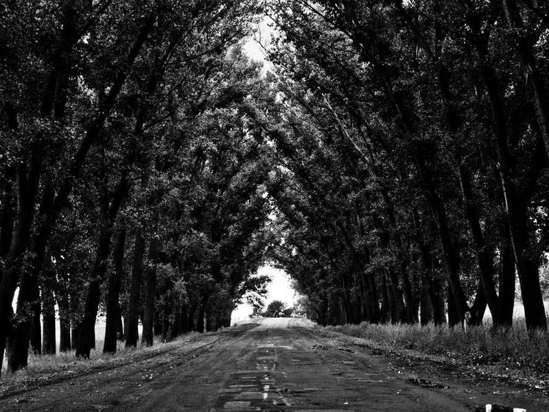 안산장상동하수구막힘,싱크대막힘,변기막힘