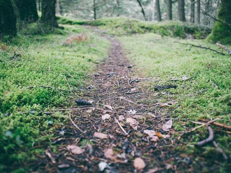 안산초지동하수구막힘,싱크대막힘,변기막힘