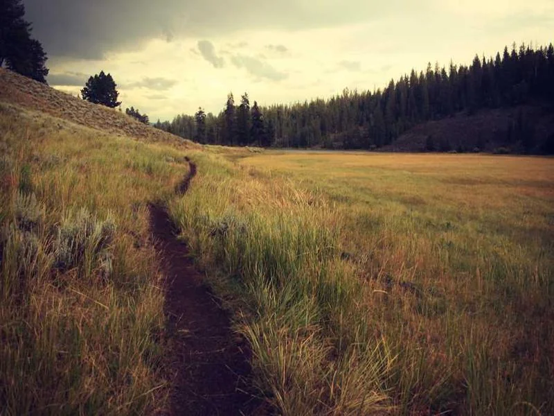 안산초지동하수구막힘,싱크대막힘,변기막힘