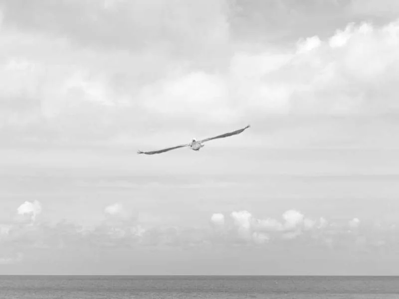 안산초지동하수구막힘,싱크대막힘,변기막힘